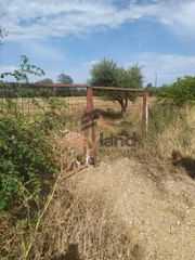 Οικόπεδο 17.000 τ.μ. για πώληση