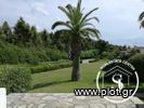 Maisonette 110sqm for sale-Kassandra » Elani