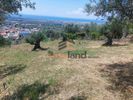 Οικόπεδο 730τ.μ. για πώληση-Πάτρα » Πάτρα - κέντρο