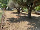 Οικόπεδο 312τ.μ. για πώληση-Πάτρα » Πάτρα - κέντρο