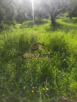 Οικόπεδο 500τ.μ. για πώληση-Μεσσατίδα » Κεφαλόβρυσο