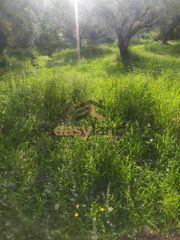 Οικόπεδο 500 τ.μ. για πώληση