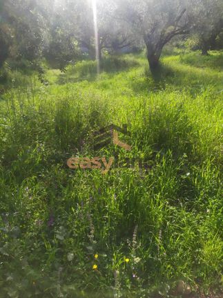 Οικόπεδο 500 τ.μ. για πώληση, Αχαΐα, Μεσσατίδα