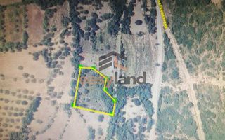 Αγροτεμάχια 3.500 τ.μ. για πώληση