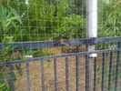 Land plot 120sqm for sale-Patra » Patra Centre