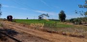 Land plot 13.000sqm for sale-Olenia » Center