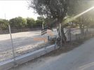 Οικόπεδο 1.000τ.μ. για πώληση-Μεσσατίδα » Κέντρο
