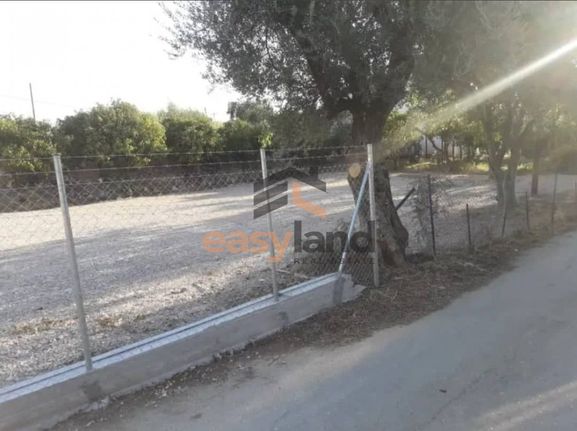 Land plot 1.000 sqm for sale, Achaia, Messatida