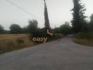 Οικόπεδο 25.000τ.μ. για ενοικίαση-Φαρές » Κέντρο