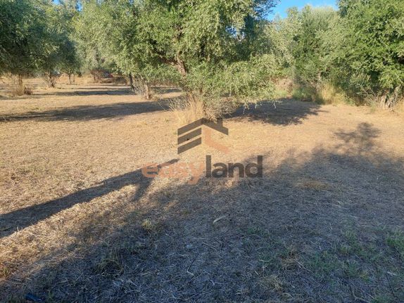 Οικόπεδο 1.700 τ.μ. για πώληση, Αχαΐα, Πάτρα