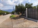 Βιομηχανικός χώρος 200τ.μ. για ενοικίαση-Μεσσατίδα » Κέντρο