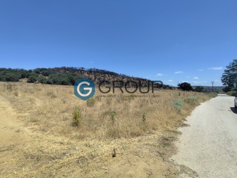 Αγροτεμάχια 9.405 τ.μ. πρός πώληση, Εβρος, Αλεξανδρούπολη
