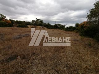 Οικόπεδο 2.100 τ.μ. πρός πώληση, Ν. Χίου, Χίος-thumb-2
