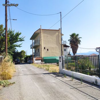 Αγροτεμάχια 228 τ.μ. για πώληση