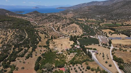 Parcel 4.491sqm for sale-Kranidi » Fourni