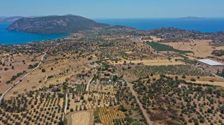 Αγροτεμάχια 3.038 τ.μ. προς πώληση, Κουβέρτα-thumb-10