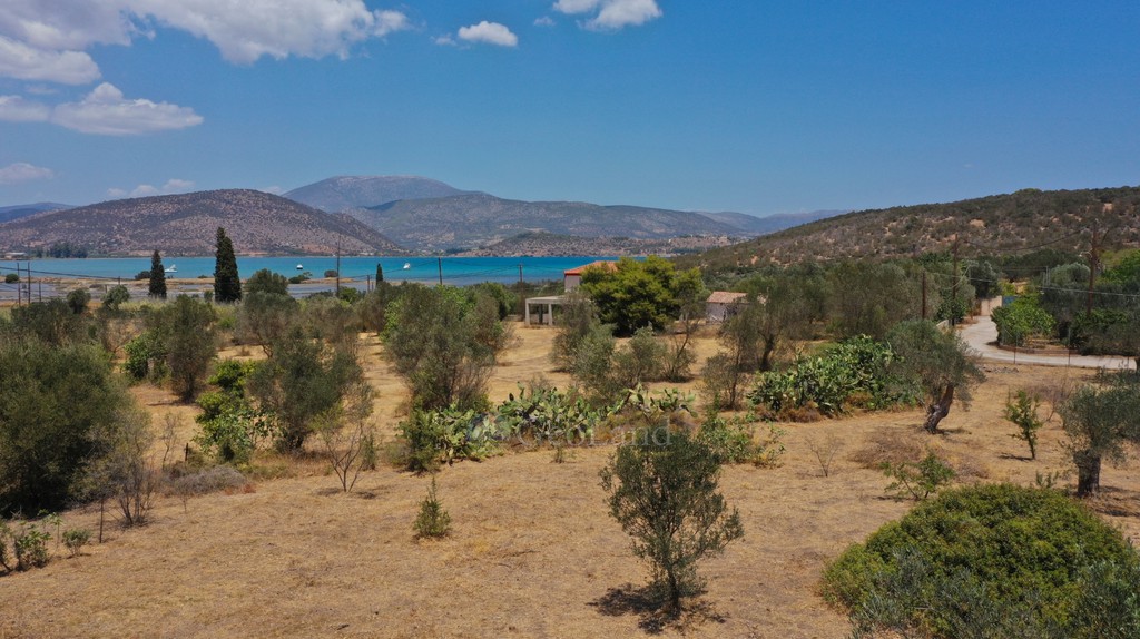 Αγροτεμάχια 3.038 τ.μ. προς πώληση, Κουβέρτα