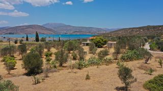 Αγροτεμάχια 3.038 τ.μ. προς πώληση, Κουβέρτα-thumb-14