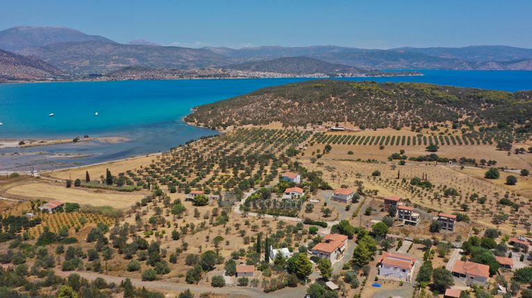 Αγροτεμάχια 3.038 τ.μ. για πώληση, Αργολίδα, Ερμιόνη
