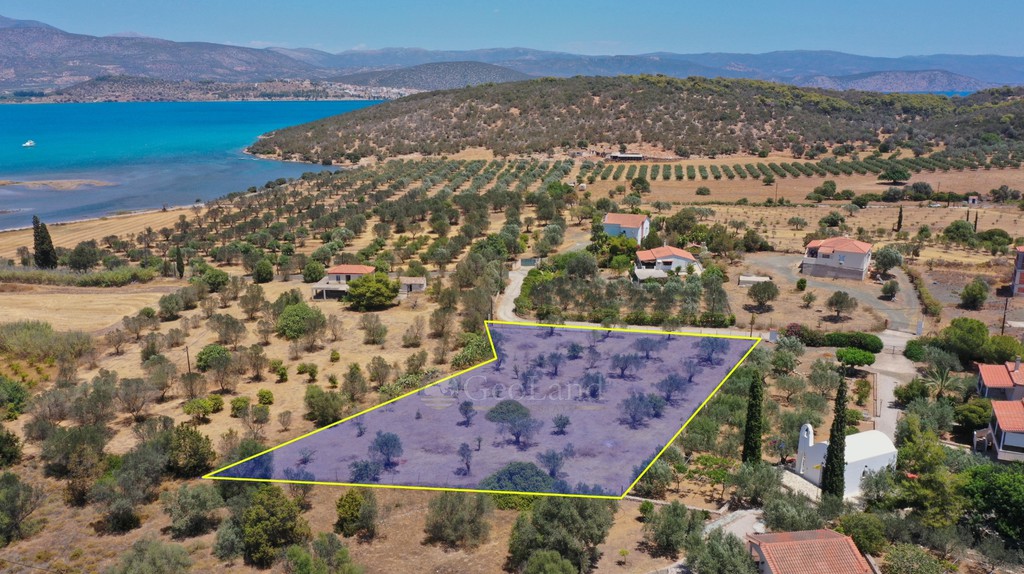 Αγροτεμάχια 3.038 τ.μ. προς πώληση, Κουβέρτα