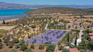 Αγροτεμάχια 3.038 τ.μ. προς πώληση, Κουβέρτα-thumb-1