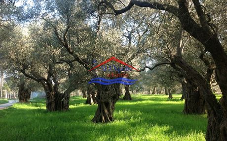 Parcel 4.462sqm for sale-Alexandroupoli » Nea Chili