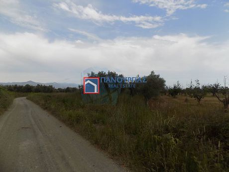 Αγροτεμάχια 3.956τ.μ. για πώληση-Γοργοπόταμος » Αλεπόσπιτα
