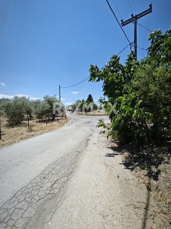Οικόπεδο 3.910 τ.μ. πρός πώληση, Μαγνησία, Αλμυρός