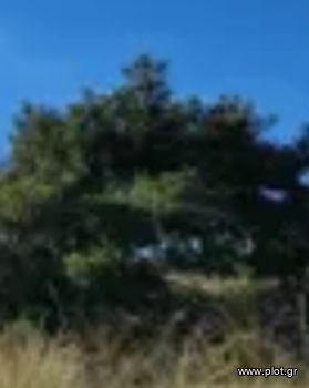 Land plot 670sqm for sale-Voula » Dikigorika