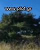 Οικόπεδο 670τ.μ. για πώληση-Βούλα » Δικηγορικά
