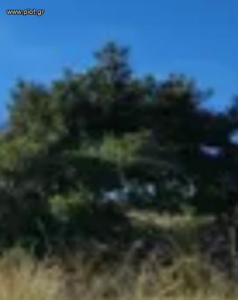 Land plot 670 sqm for sale, Athens - South, Voula