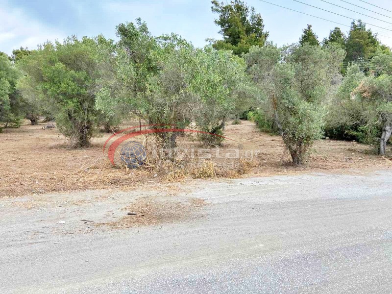 Οικόπεδο 6.260 τ.μ. προς πώληση, Νέος Μαρμαράς