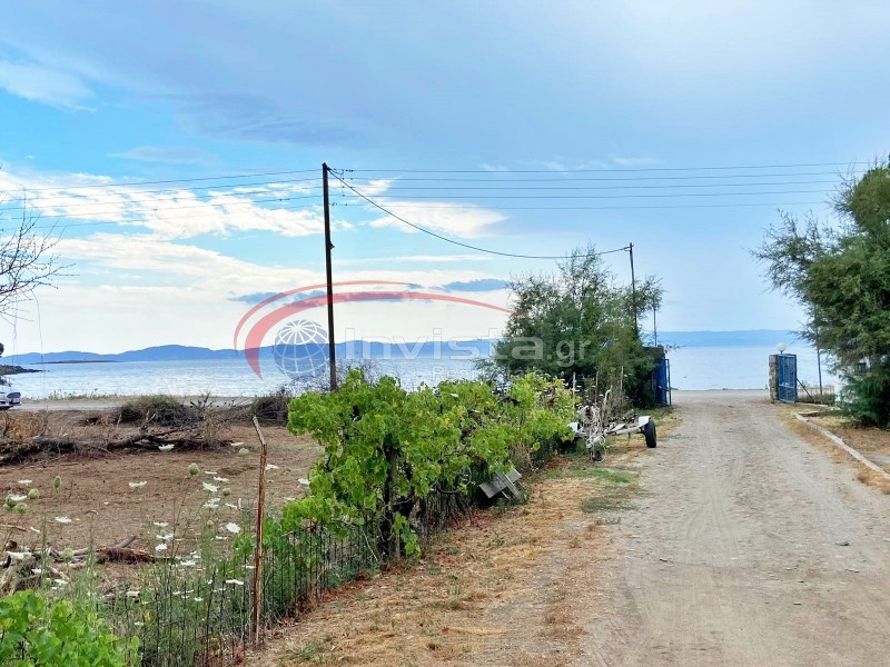Οικόπεδο 6.260 τ.μ. προς πώληση, Νέος Μαρμαράς