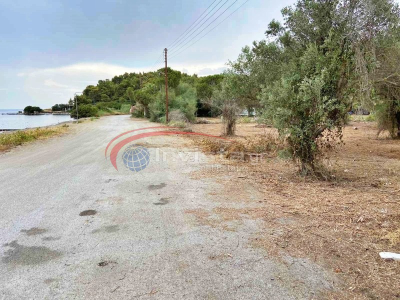 Οικόπεδο 6.260 τ.μ. προς πώληση, Νέος Μαρμαράς