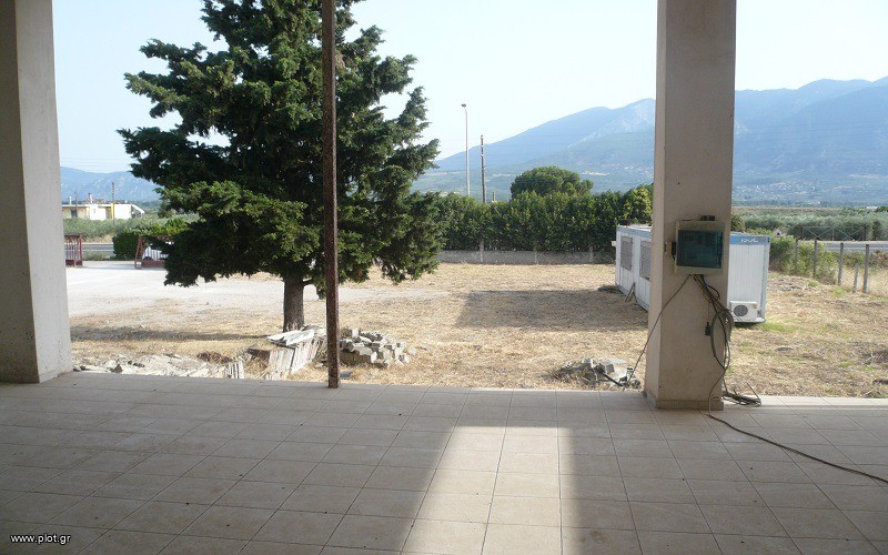 Εκθεσιακός χώρος 3.000 τ.μ. πρός ενοικίαση, Φθιώτιδας, Λαμία