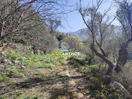 Land plot 8.000sqm for sale-Rethimno » Chromonastiri