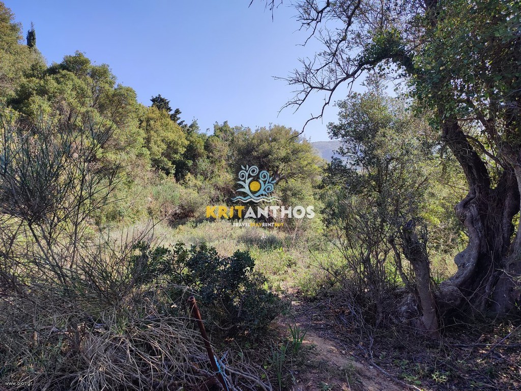 Οικόπεδο 8.000 τ.μ. πρός πώληση, Ν. Ρεθύμνου, Ρέθυμνο
