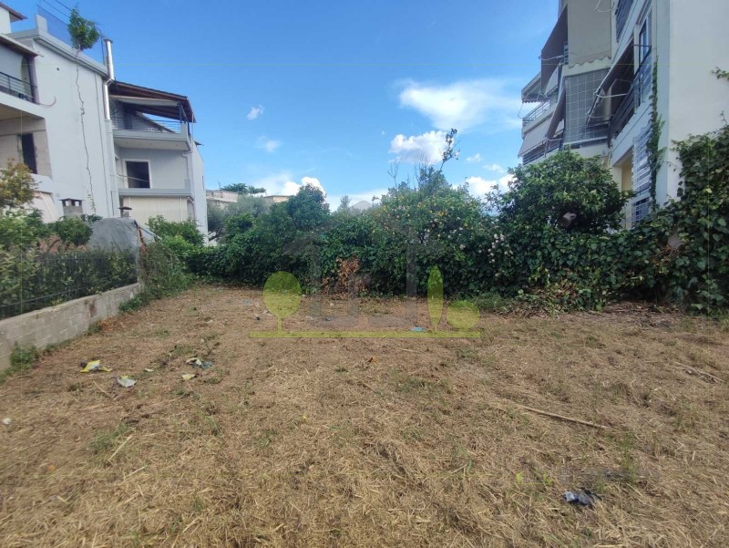 Οικόπεδο 965 τ.μ. προς πώληση, Ζαρουχλέικα