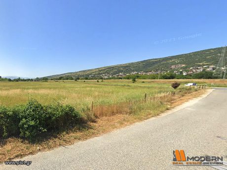 Αγροτεμάχια 7.055 τ.μ. για πώληση