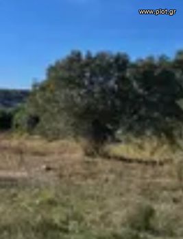 Land plot 10.000sqm for sale-Palaia Fokaia » Κέντρο