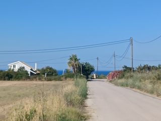 Αγροτεμάχια 21.800 τ.μ. για πώληση