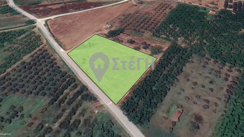 Αγροτεμάχια 3.900 τ.μ. προς πώληση, Ημαθία, Νάουσα
