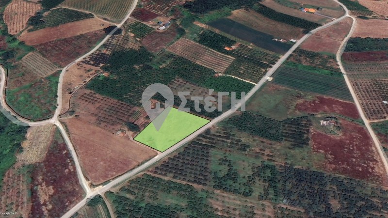 Αγροτεμάχια 3.900 τ.μ. προς πώληση, Ημαθία, Νάουσα