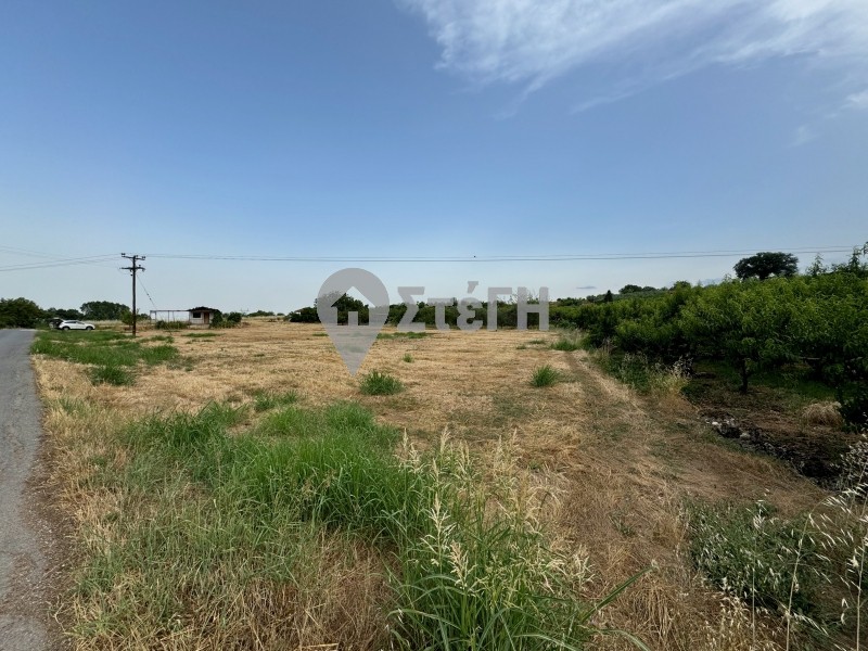 Αγροτεμάχια 3.900 τ.μ. προς πώληση, Ημαθία, Νάουσα