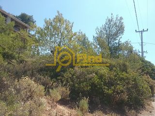 Οικόπεδο 325 τ.μ. για πώληση, Αθήνα - Ανατολικά Προάστια, Ανθούσα-thumb-10