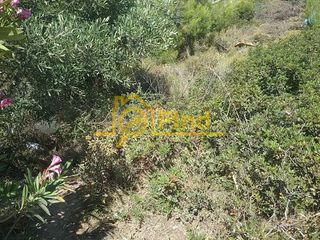 Οικόπεδο 325 τ.μ. για πώληση, Αθήνα - Ανατολικά Προάστια, Ανθούσα-thumb-14