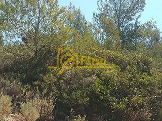 Οικόπεδο 325 τ.μ. για πώληση, Αθήνα - Ανατολικά Προάστια, Ανθούσα-thumb-8