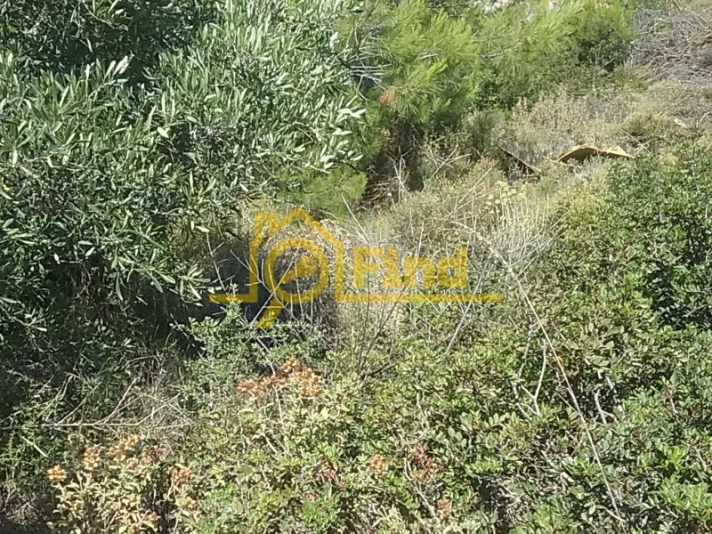 Οικόπεδο 325 τ.μ. πρός πώληση, Αθήνα - Ανατολικά Προάστια, Ανθούσα