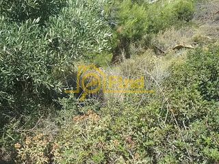Οικόπεδο 325 τ.μ. για πώληση, Αθήνα - Ανατολικά Προάστια, Ανθούσα-thumb-1