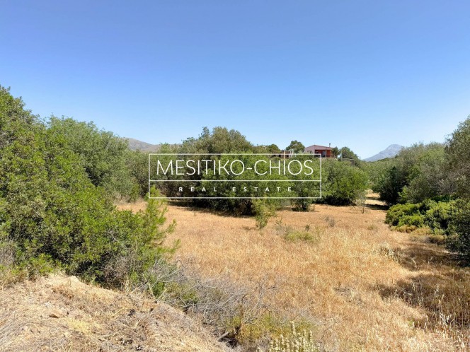 Οικόπεδο 2.369,27 τ.μ. προς πώληση, Αμάνη